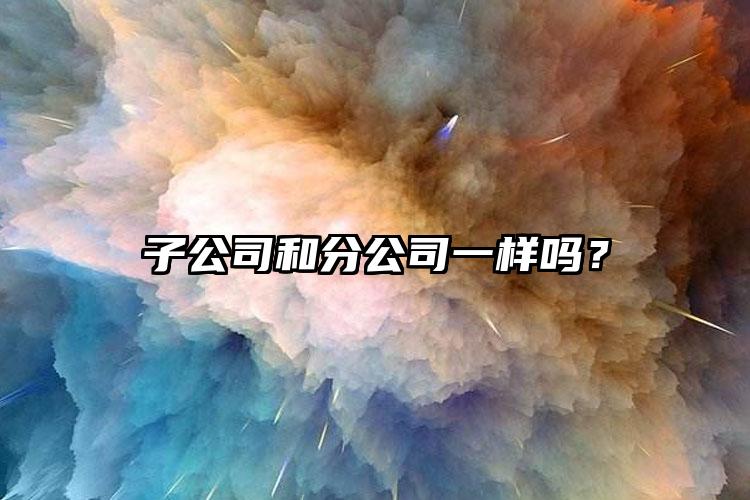 子公司和分公司一樣嗎？