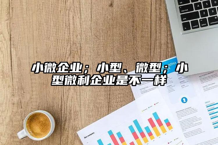 小微企業；小型、微型；小型微利企業是不一樣